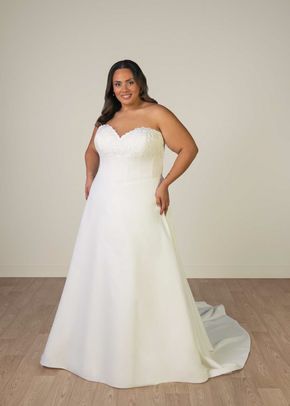 SY8328, Stella York