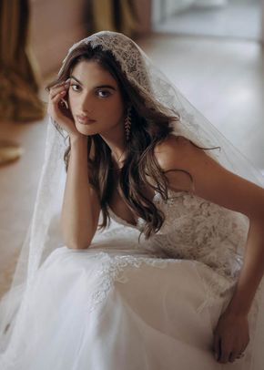 SY8293, Stella York