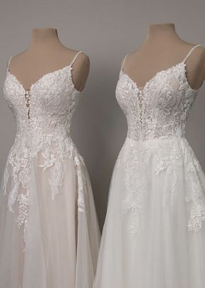 SY8293, Stella York