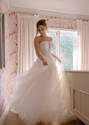SY8324, Stella York