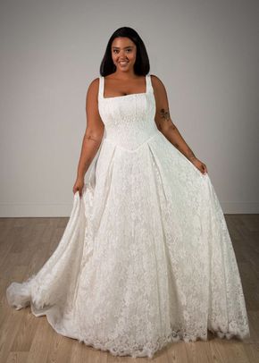 SY8344, Stella York