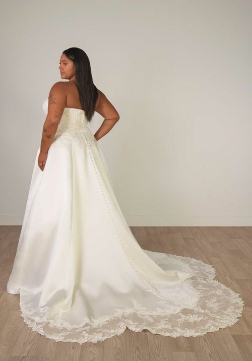 SY8279+, Stella York