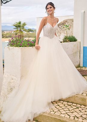 FIORELLA, 3138