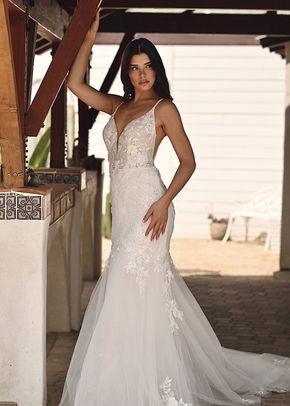 Silver Spring Wedding Dress