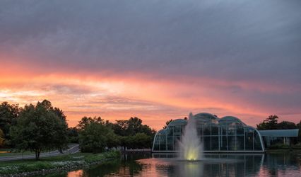 The Butterfly House
