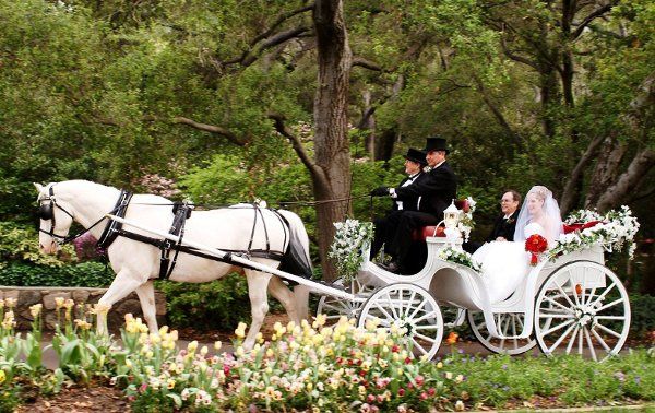 Enchanted Carriages