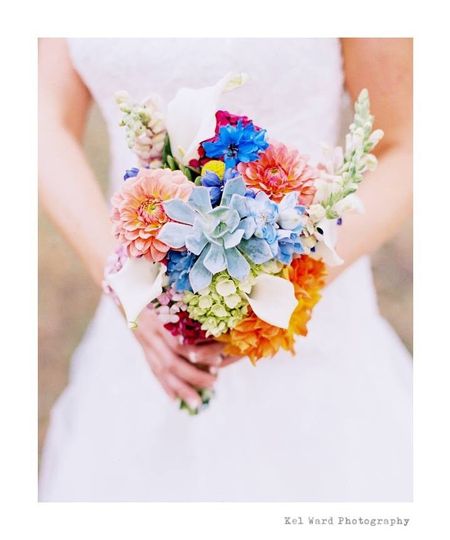 Morning Glories Floral