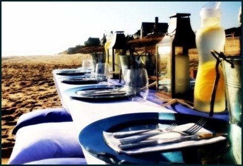 The Seafood Shop Catering Co.
