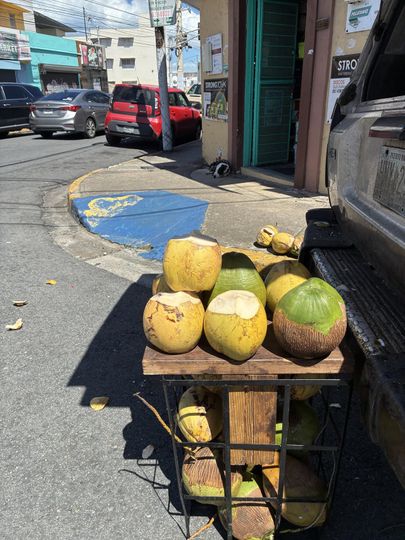 Mannys Coconuts