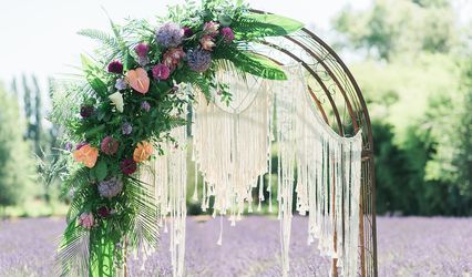 Sublime Stems