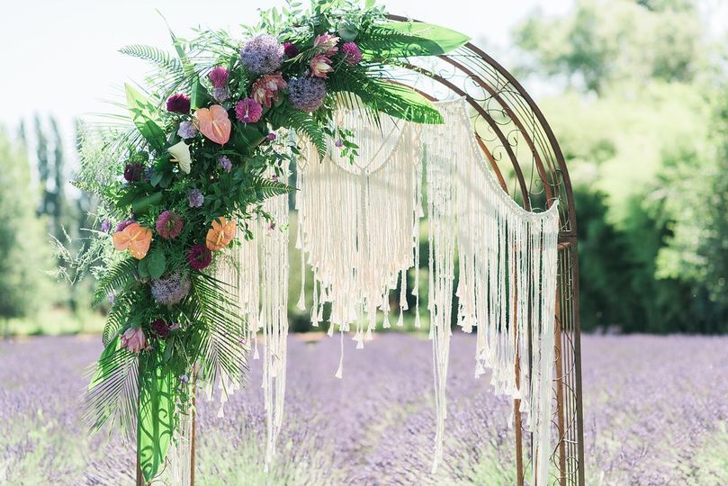 Sublime Stems