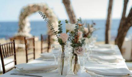 Florida Beach and Custom Weddings