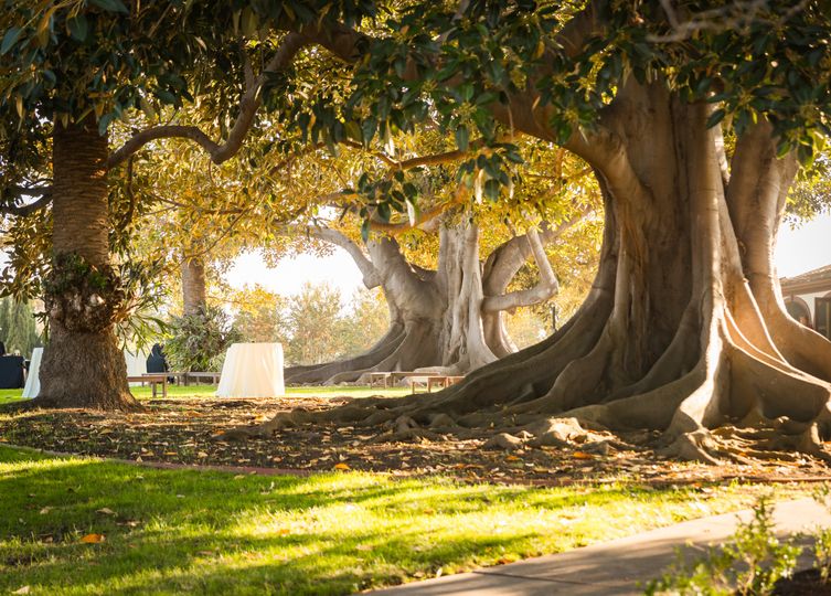 Rancho Los Alamitos