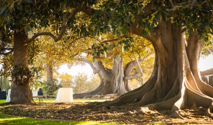 Rancho Los Alamitos