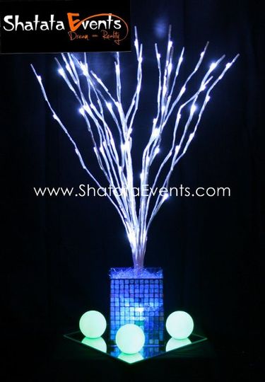 Shatata - Centerpieces rental
