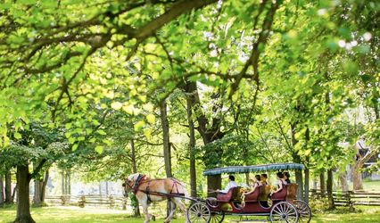 Bowens Mills Weddings for a Lifetime