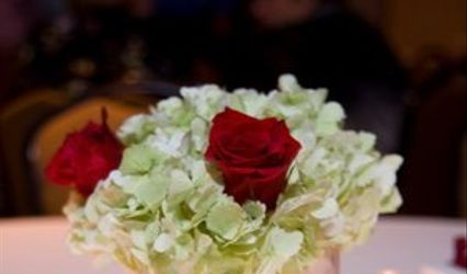 Amber Eve Wedding And Events