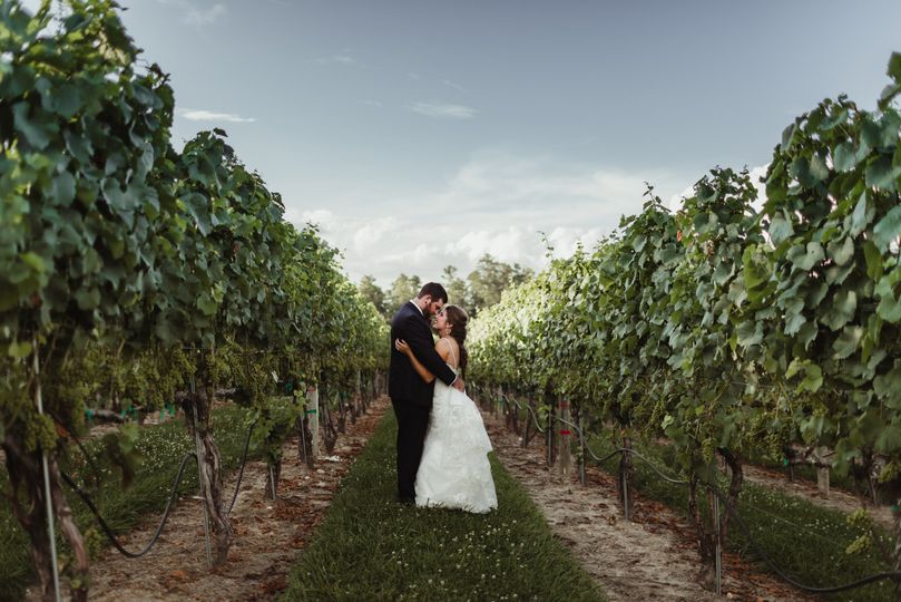 Burntshirt Vineyards