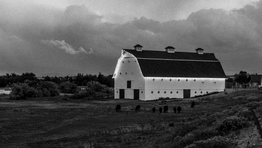 The Canary Barn