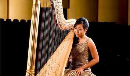 Modern Harp: Lily