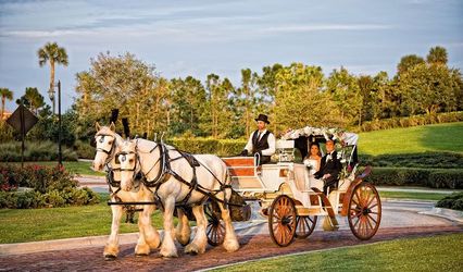 Horse and Carriage Rides and Events