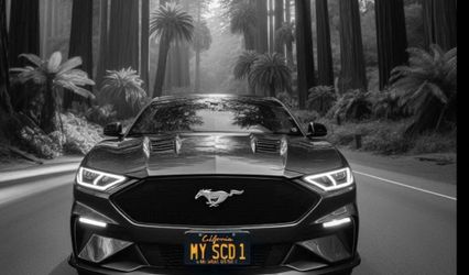 My Santa Cruz Driver, LLC