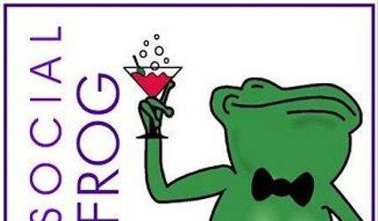 Social Frog Designs