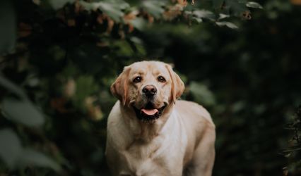 Kristy Alinoski Photography