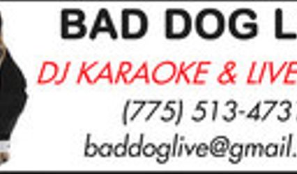 BAD DOG LIVE DJ / KARAOKE & LIVE MUSIC