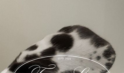 FIVE STAR PET SITTING AND CONCIERGE