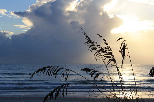 Joyce Locke Photography