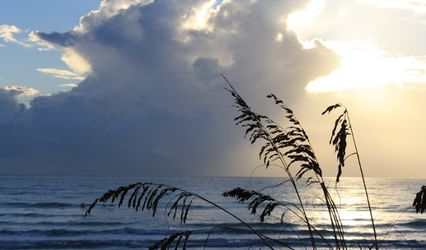 Joyce Locke Photography