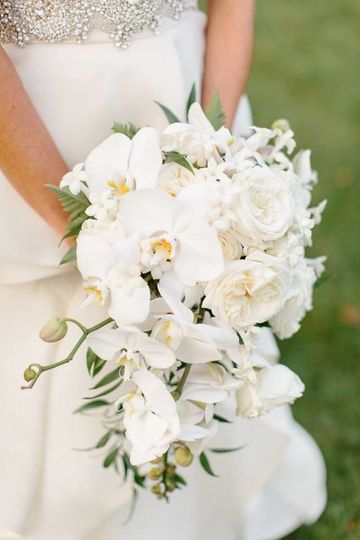 Lane and Lenge Florists