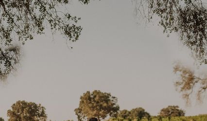 Orange Dragonfly Weddings & Events