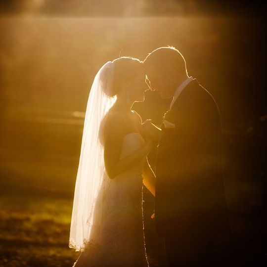 Elizabeth Vincent Photography
