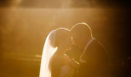 Elizabeth Vincent Photography