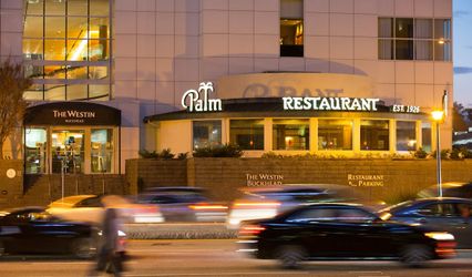 The Palm Chicago