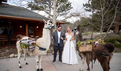 Officiant Orlinda