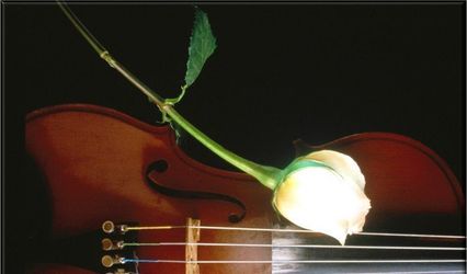 The Hartford Players Strings Wedding Music