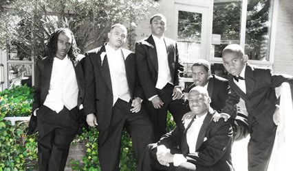 Antelligent Photography