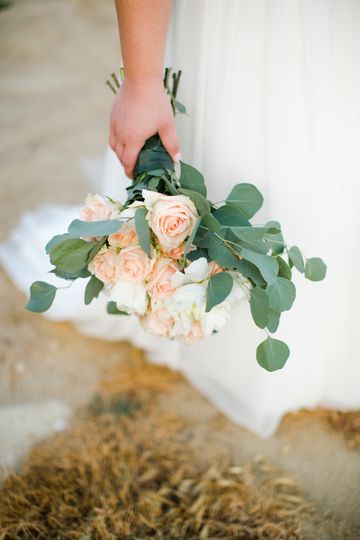 Melinda Humphries Photography