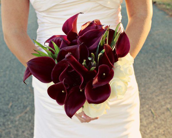 Maureen Williams Photography