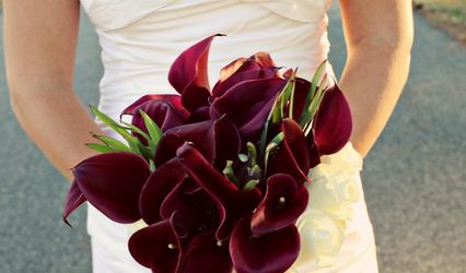 Maureen Williams Photography