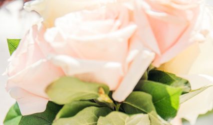 Biletska Zhanna Photography