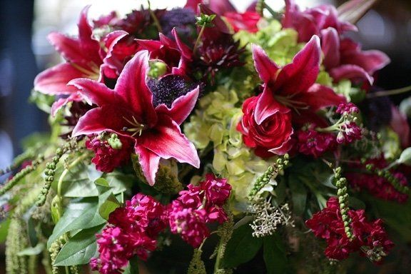 Ravenna Bloom