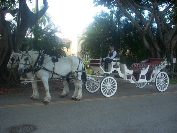 Miami Carriages