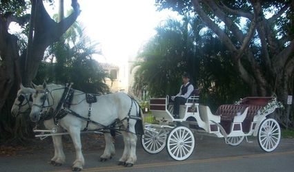 Miami Carriages