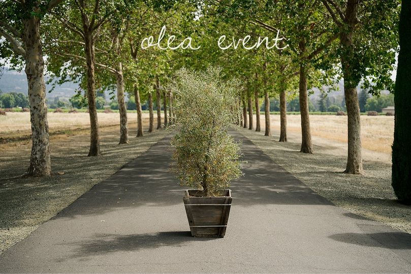 Olea Event
