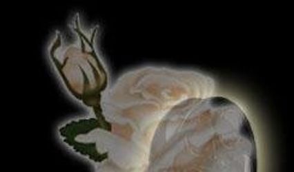 Everything's Coming Up Roses LLC, Special Event Videography