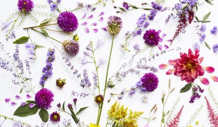 Twin Cities Florist